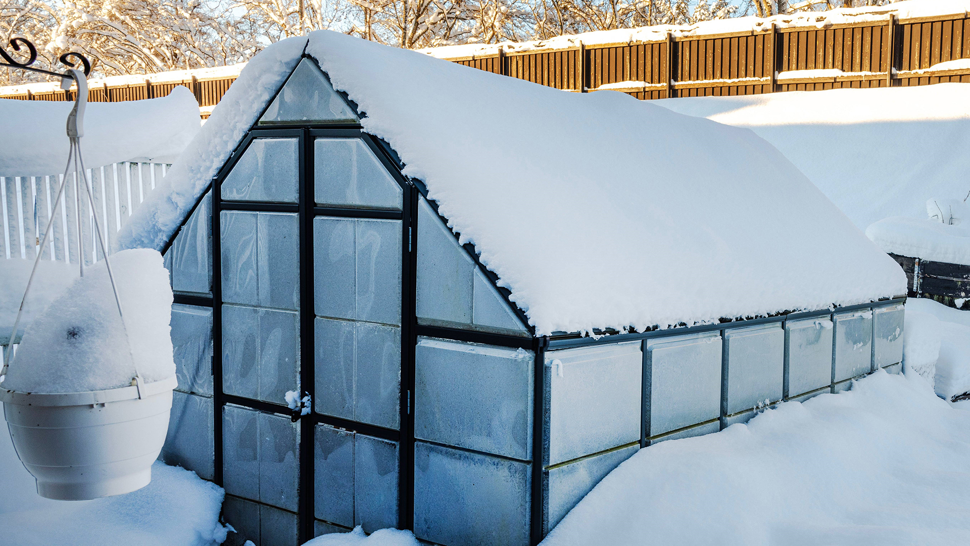 10 wichtige Möglichkeiten, damit Pflanzen im Winter gedeihen