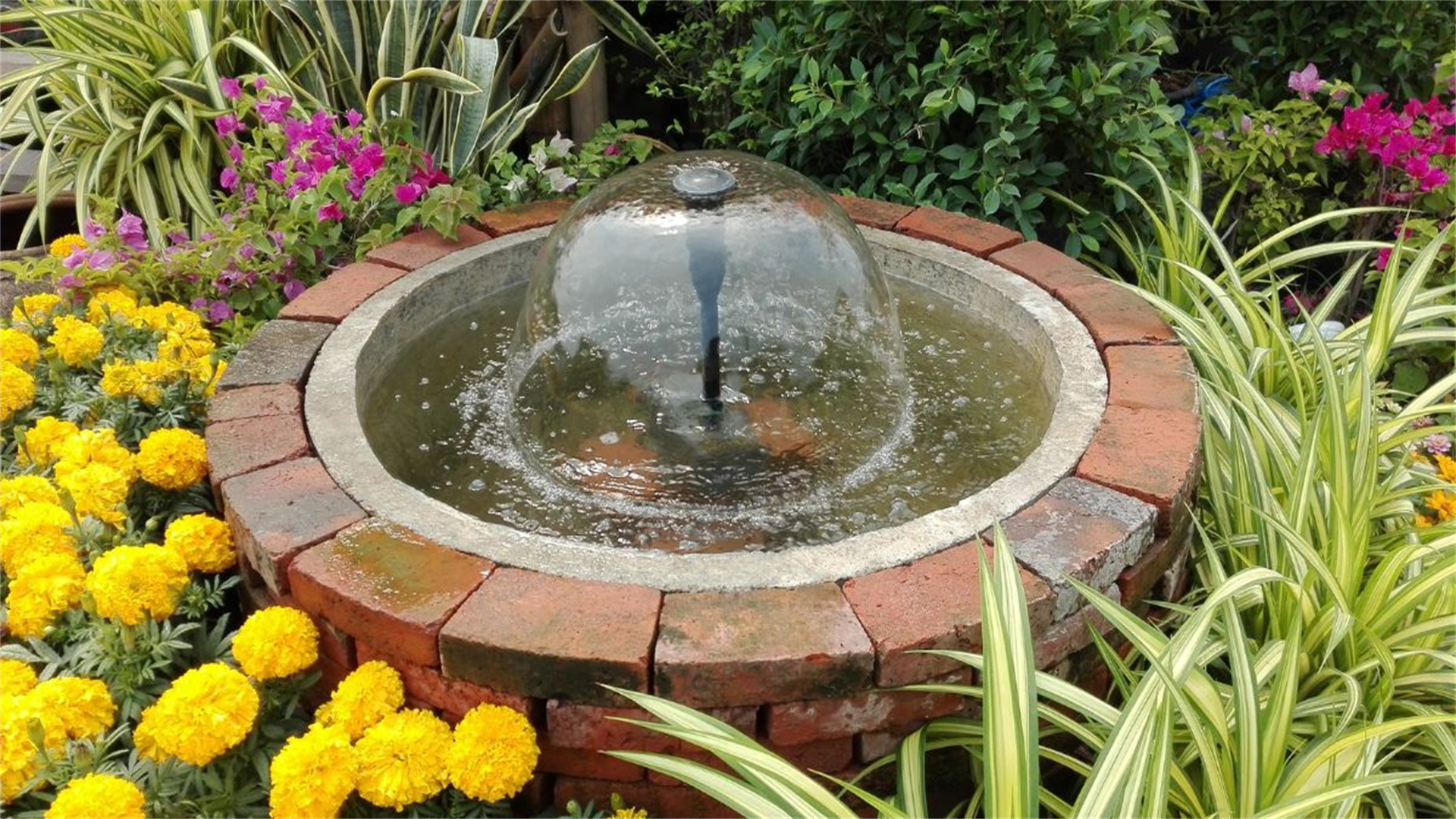 11 unverzichtbare Gartengeräte zur Verbesserung Ihres Gartenerlebnisses