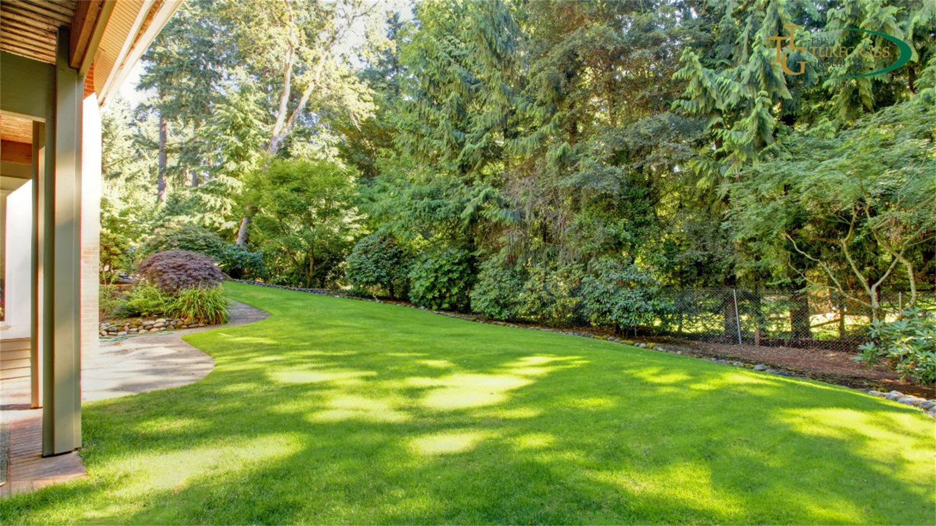 12 überraschende Tipps für müheloses und effektives Rasenmähen