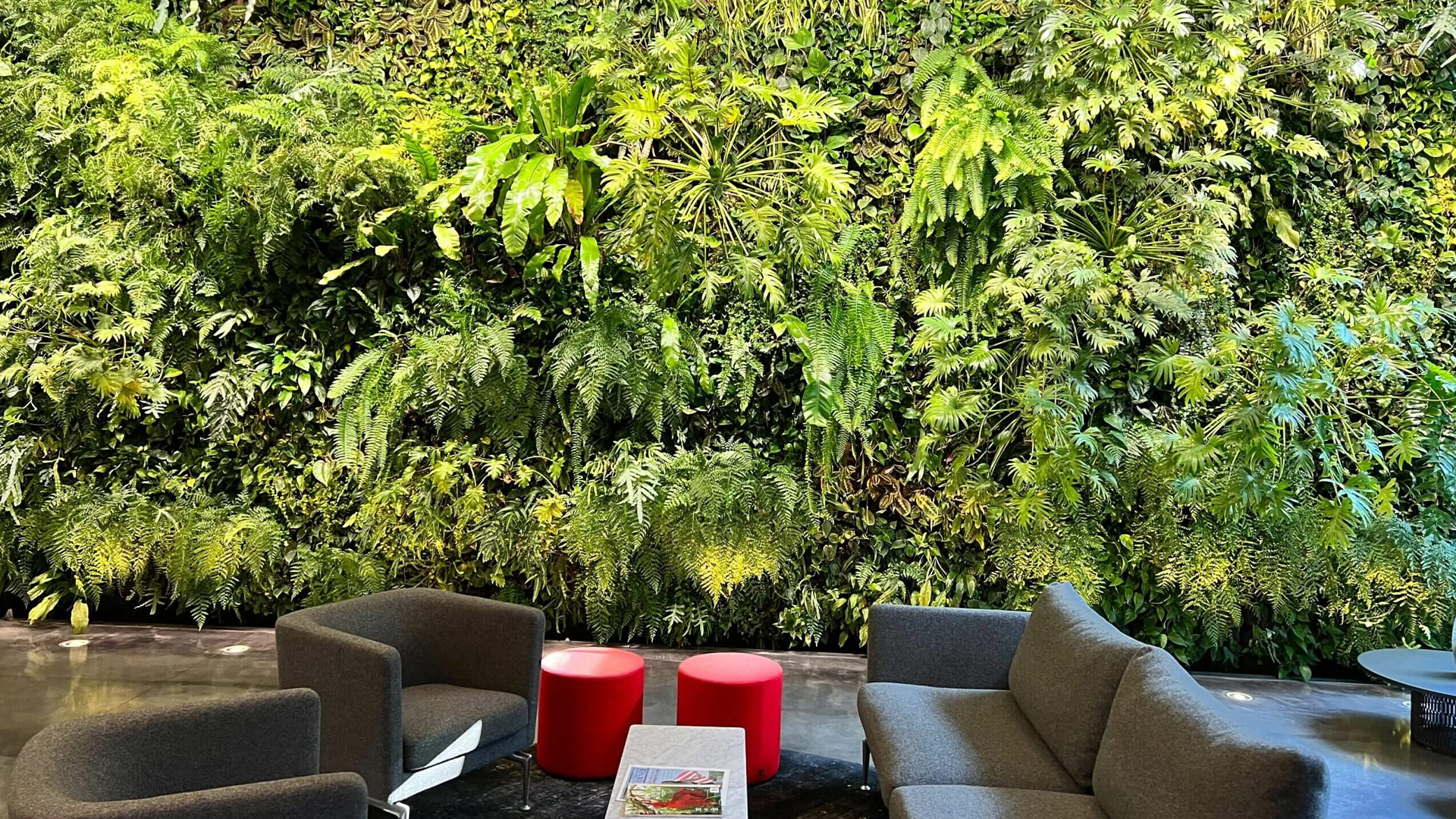 6 DIY-Schritte zum Bau eines beeindruckenden vertikalen Gartens auf kleinem oder engem Raum – Ultra-Expanded Edition