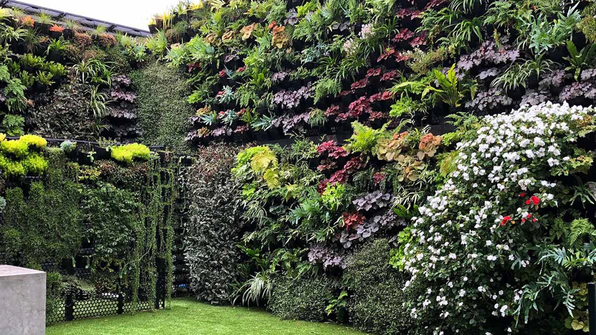 6 DIY-Schritte zum Bau eines beeindruckenden vertikalen Gartens auf kleinem oder engem Raum – Ultra-Expanded Edition