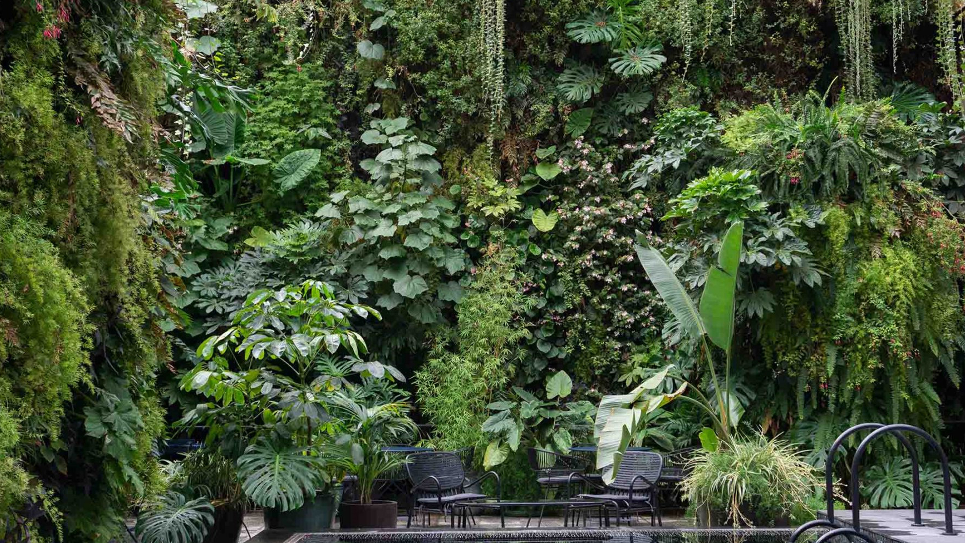 6 DIY-Schritte zum Bau eines beeindruckenden vertikalen Gartens auf kleinem oder engem Raum – Ultra-Expanded Edition