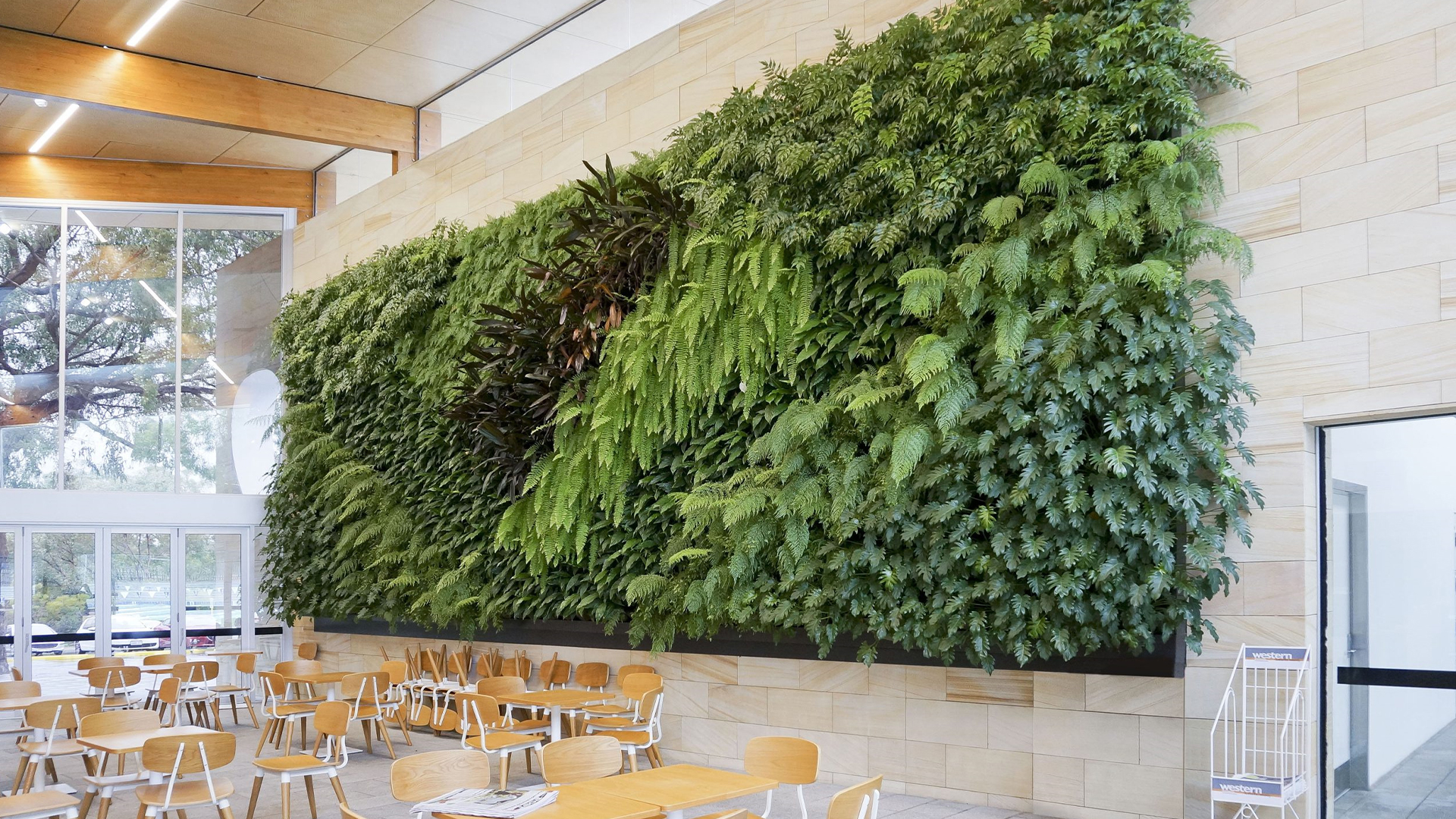 6 DIY-Schritte zum Bau eines beeindruckenden vertikalen Gartens auf kleinem oder engem Raum – Ultra-Expanded Edition