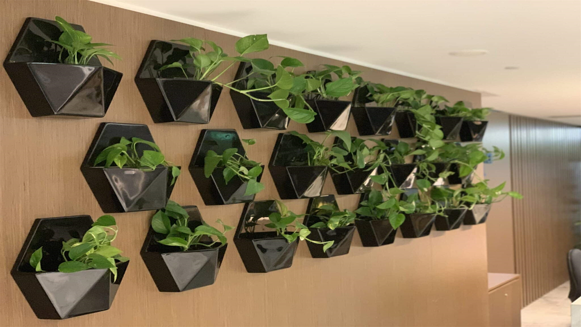 6 DIY-Schritte zum Gestalten eines atemberaubenden vertikalen Gartens auf begrenztem Raum